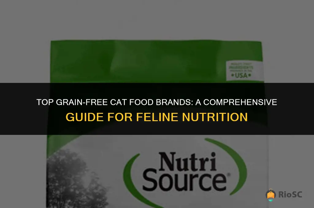 best cat food brands no grain