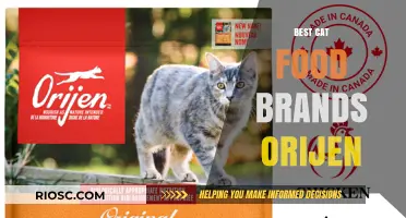 Exploring the Top Cat Food Brands: A Comprehensive Review of Orijen and More