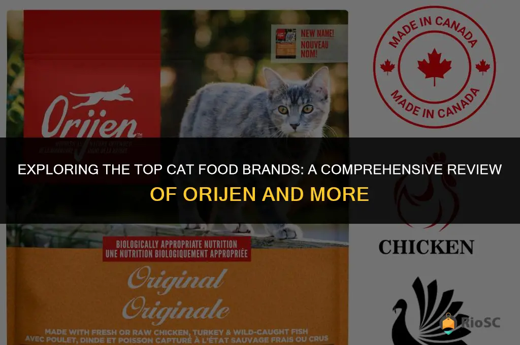 best cat food brands orijen