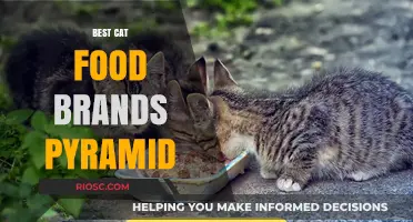 Feline Nutrition Hierarchy: Unveiling the Best Cat Food Brands Pyramid