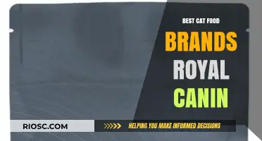 Top-Rated Cat Food Brands: Royal Canin and Beyond