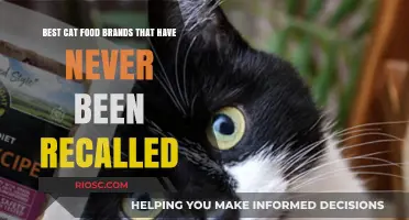 Top-Rated Cat Food Brands with a Clean Recall History