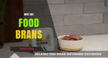 Top-Rated Cat Food Brands: A Comprehensive Guide for Feline Nutrition