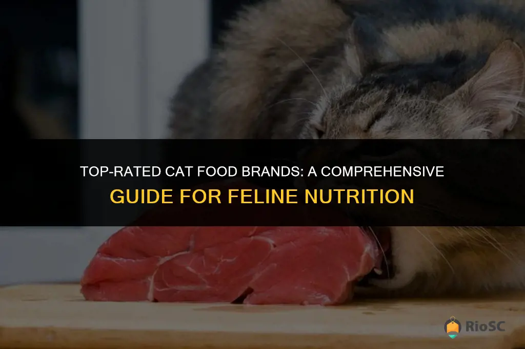 best cat food brnad