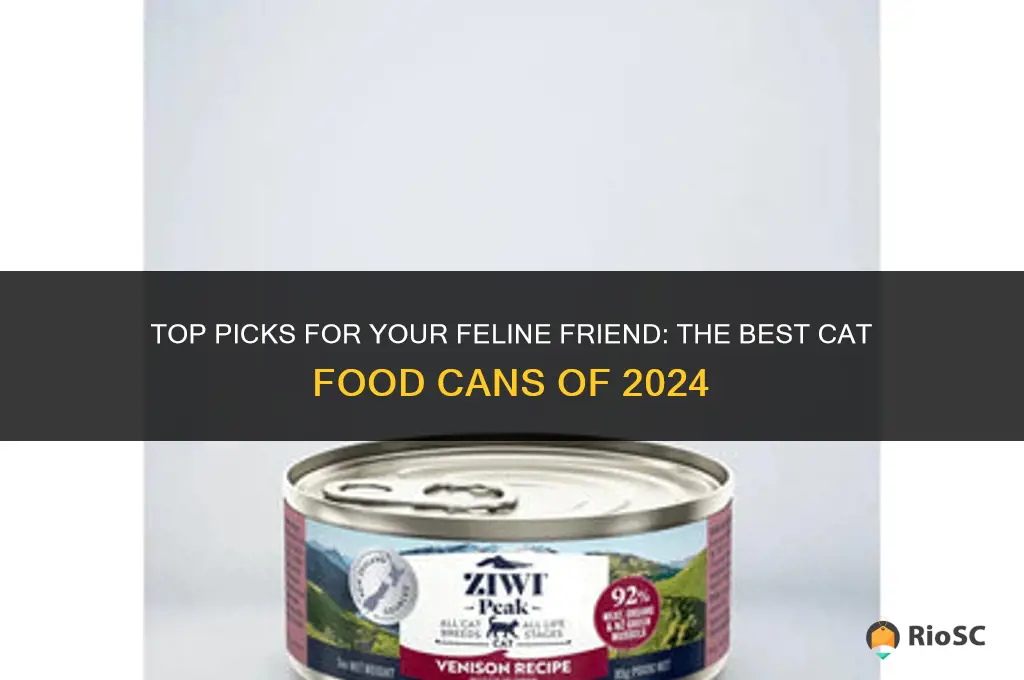 best cat food can