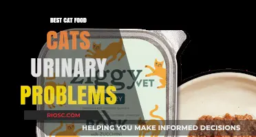 Top Picks for Feline Friends: Best Cat Foods to Support Urinary Health