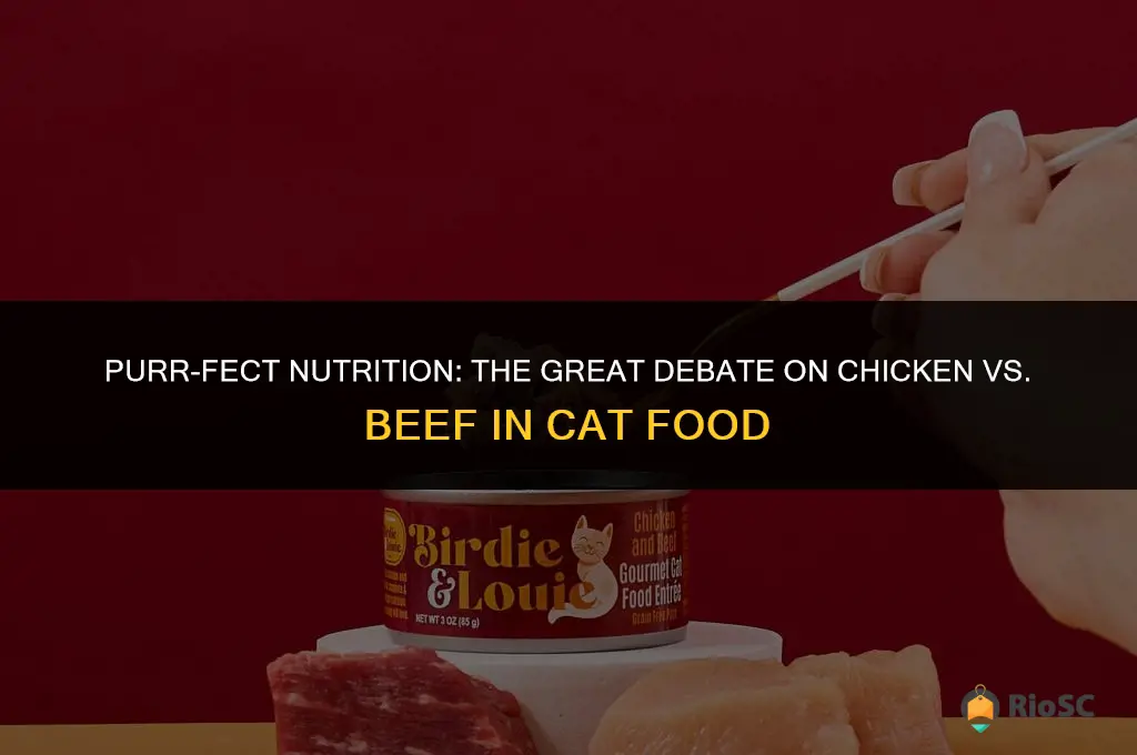 best cat food chicken or beef