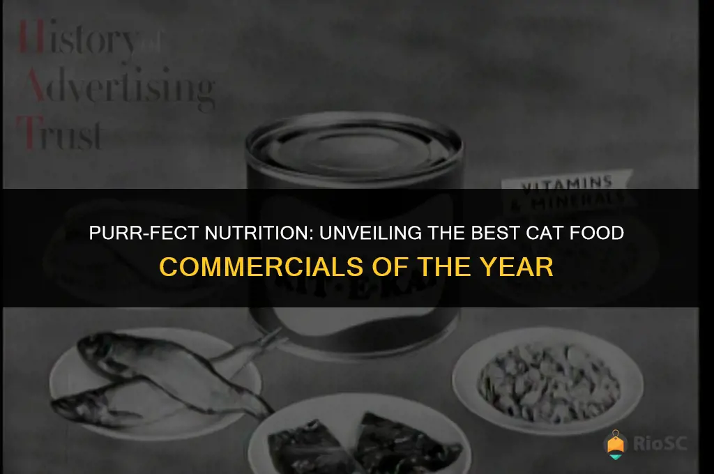 best cat food commercial