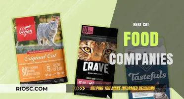 Top-Rated Cat Food Brands: A Comprehensive Guide for Feline Nutrition