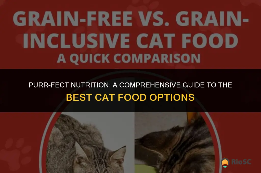 best cat food comparison