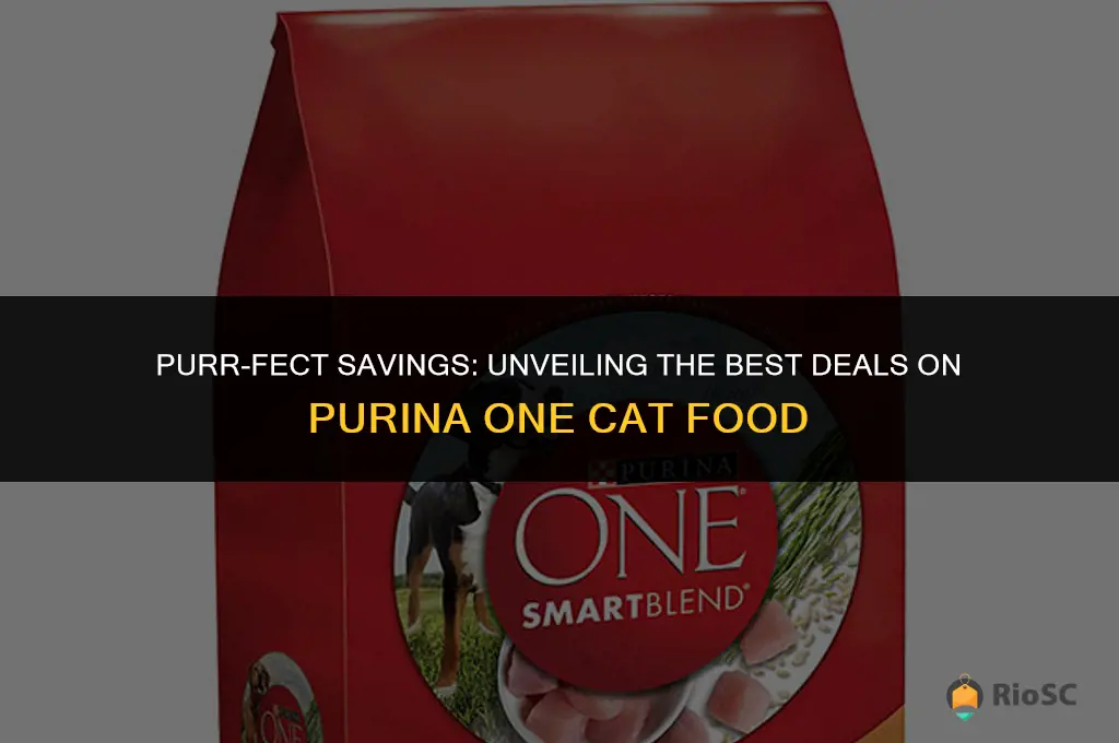 best cat food deals purina one