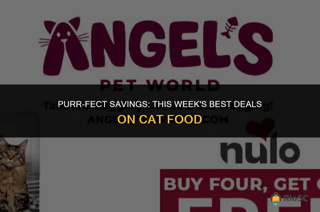 best cat food deals this week