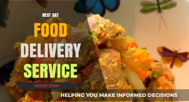 Purr-fectly Convenient: Top Cat Food Delivery Services Compared
