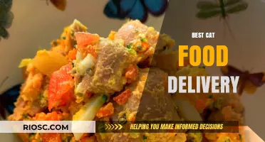 Purr-fectly Convenient: Top Cat Food Delivery Services Compared