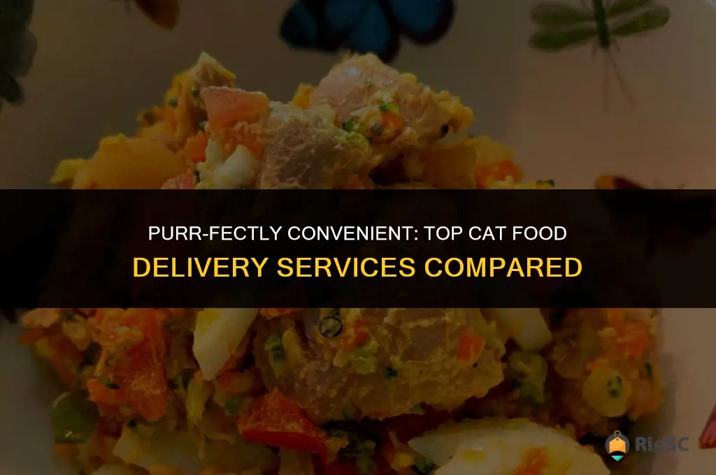 best cat food delivery