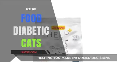 Top Picks for Diabetic Cat Diets: Managing Feline Diabetes Through Nutrition