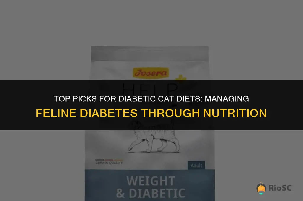 best cat food diabetic cats
