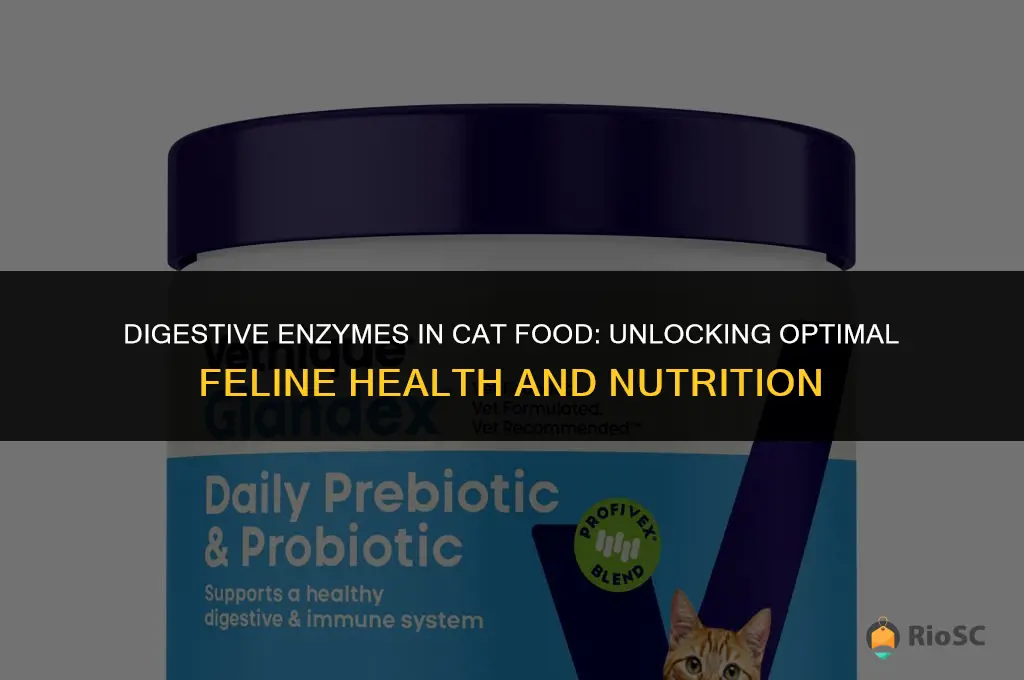 best cat food digestive enzymes