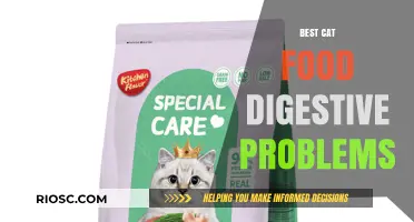 Top Picks for Sensitive Stomachs: The Best Cat Food for Digestive Problems