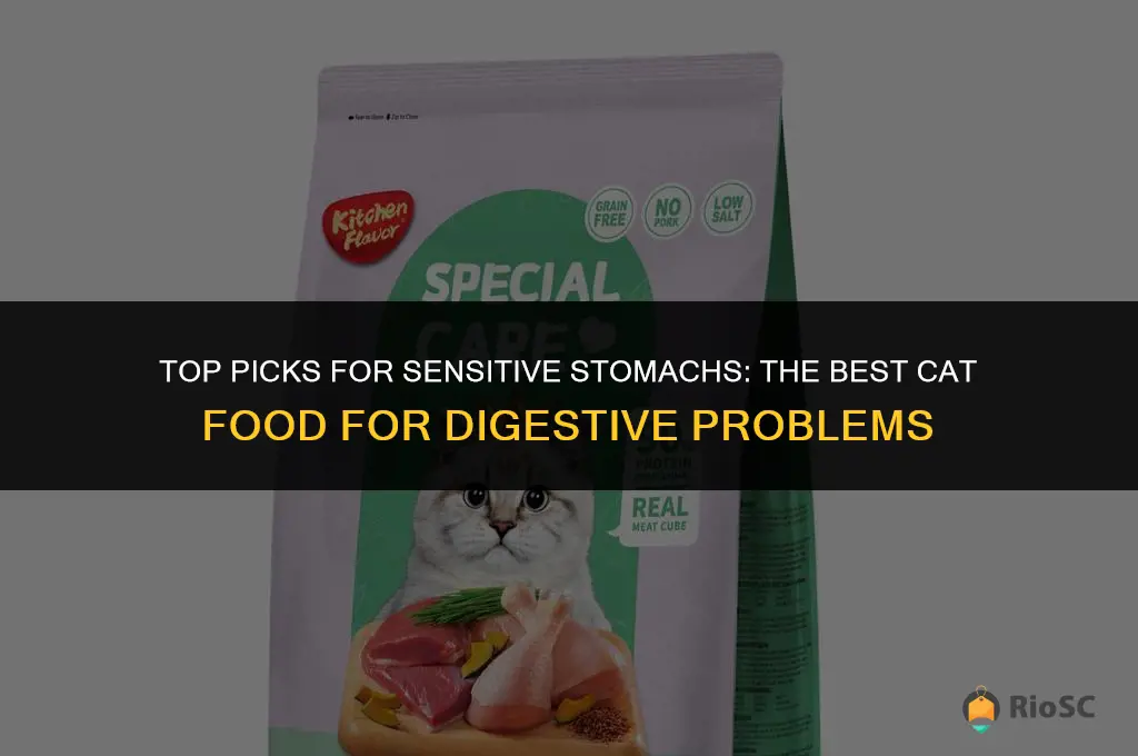 best cat food digestive problems