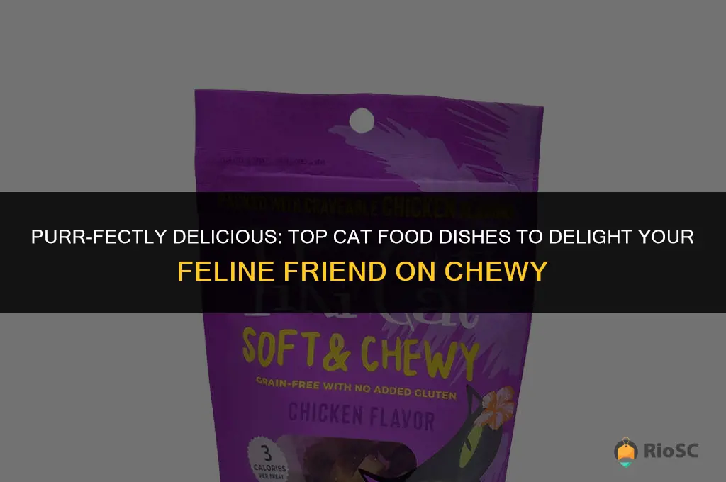 best cat food dishes chewy