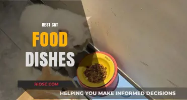 Purr-fectly Delicious: The Ultimate Guide to the Best Cat Food Dishes