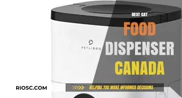 Top-Rated Cat Food Dispensers in Canada: A Comprehensive Guide for Feline Care
