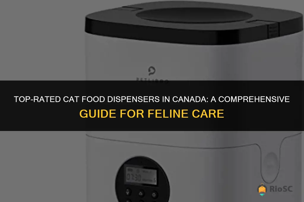 best cat food dispenser canada