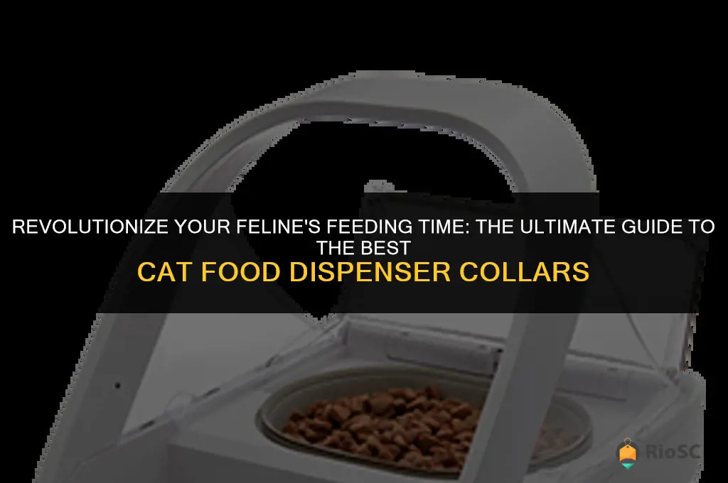 best cat food dispenser collar