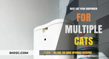 Top Picks for Feline Feeding: The Best Cat Food Dispensers for Multi-Cat Households