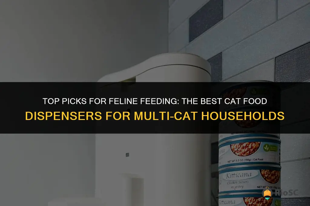 best cat food dispenser for multiple cats