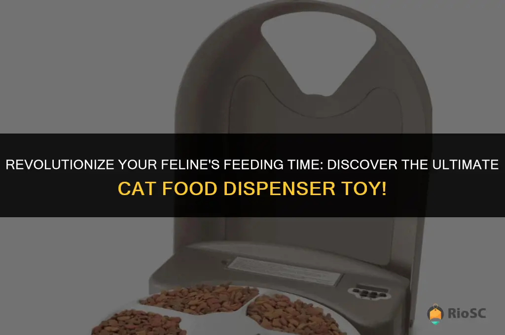 best cat food dispenser toy
