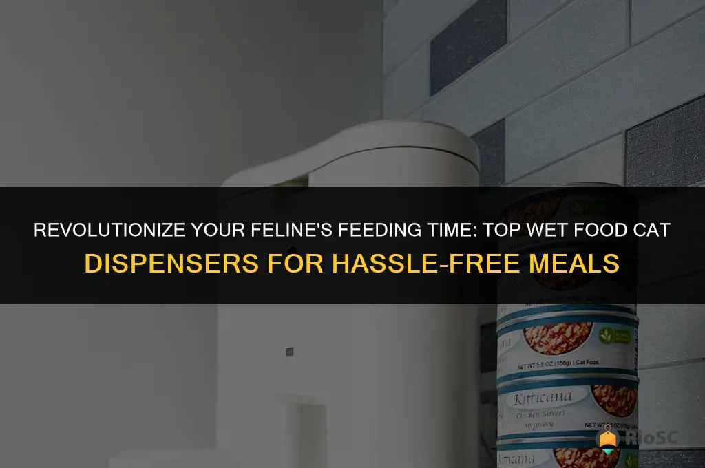 best cat food dispenser wet food