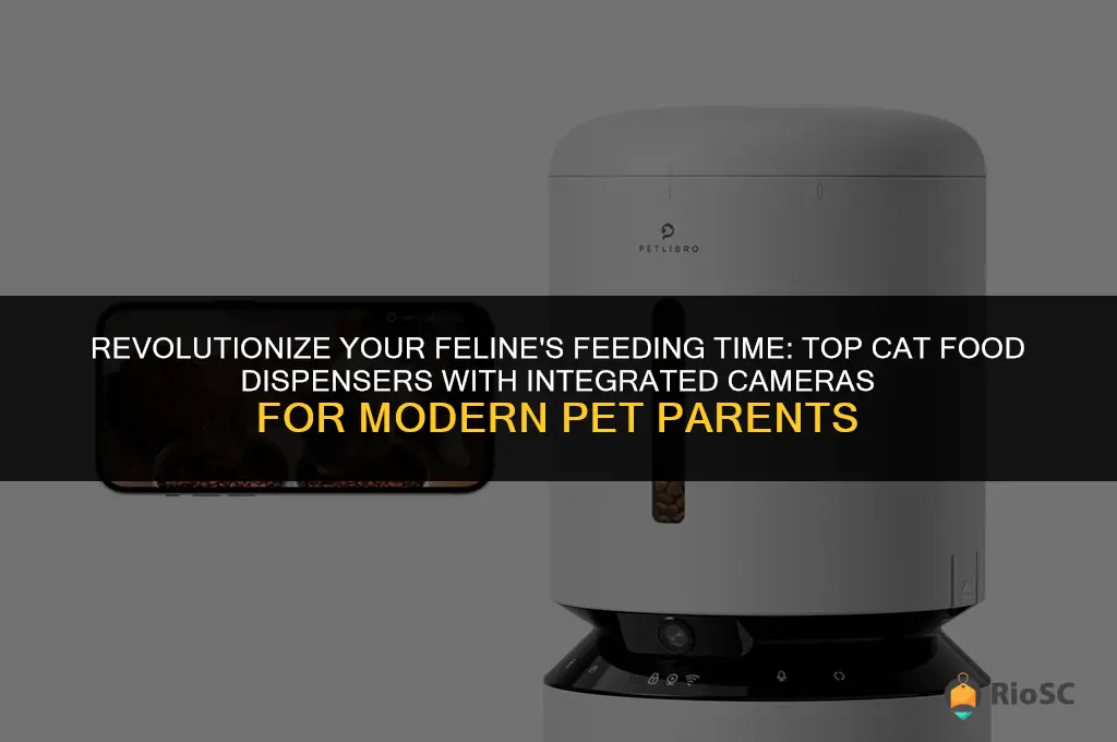 best cat food dispenser with camera