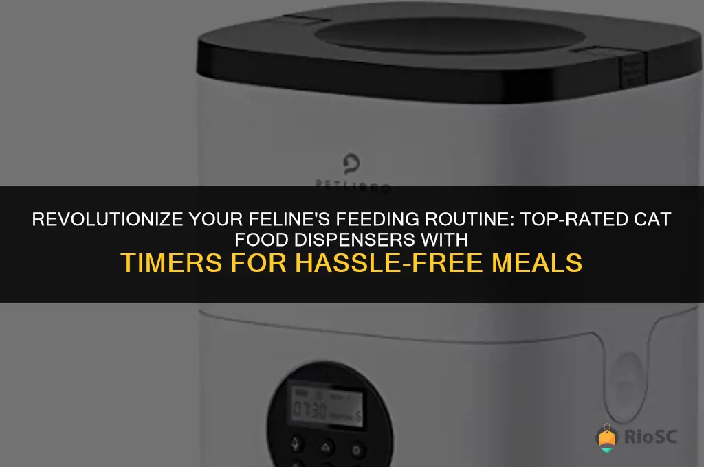 best cat food dispenser with timer