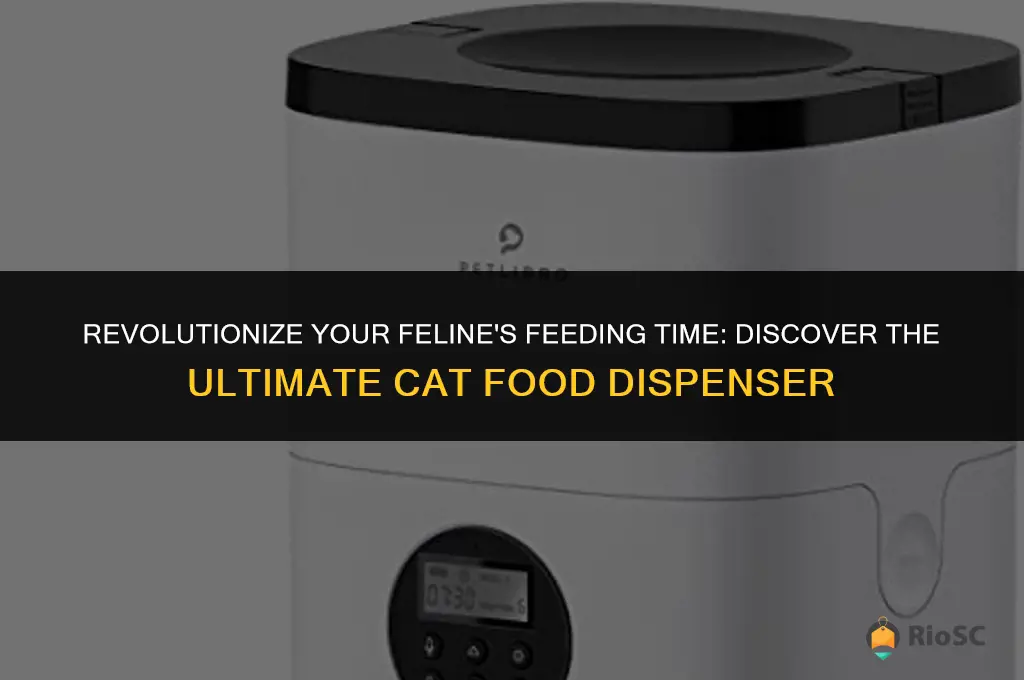 best cat food dispenser
