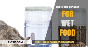 Top Picks for Feline Gourmets: Best Cat Food Dispensers for Wet Food