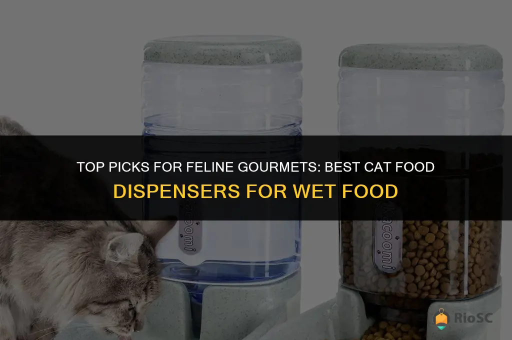 best cat food dispensers for wet food