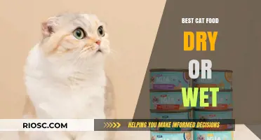 Dry vs. Wet Cat Food: Which Is the Purr-fect Choice for Your Feline Friend?