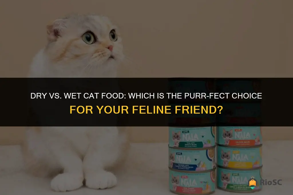 best cat food dry or wet