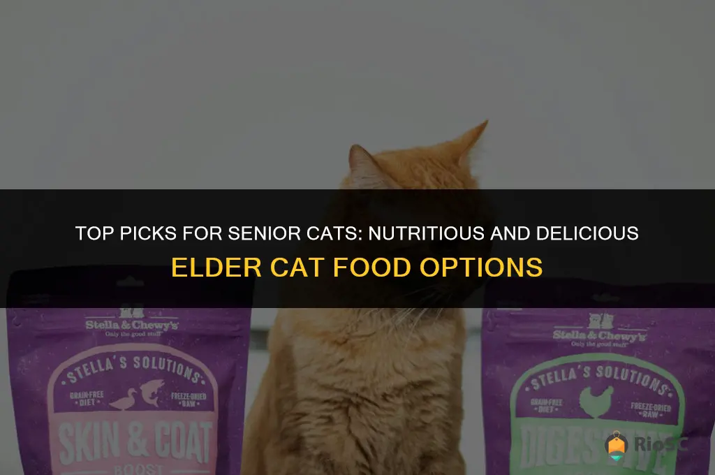 best cat food elder