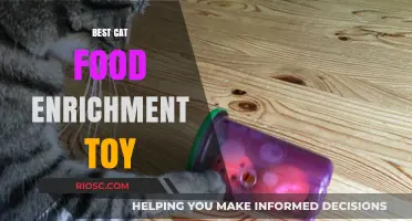 Purr-fect Playtime: The Ultimate Guide to Cat Food Enrichment Toys