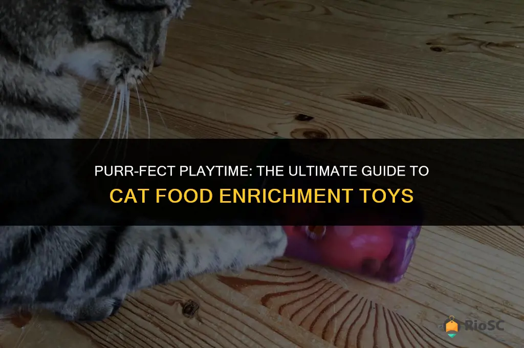 best cat food enrichment toy