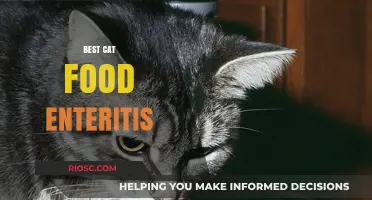 Top Picks for Soothing Your Cat's Enteritis: A Comprehensive Guide to the Best Cat Foods for Digestive Health