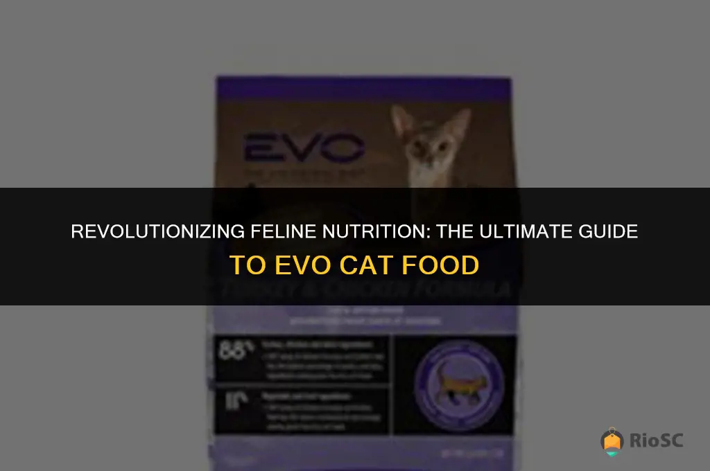 best cat food evo