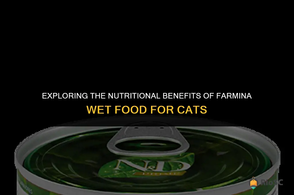 best cat food farmina wet food