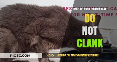 Silent Feeding Solutions: Top Cat Food Feeders That Eliminate Clanking Noise