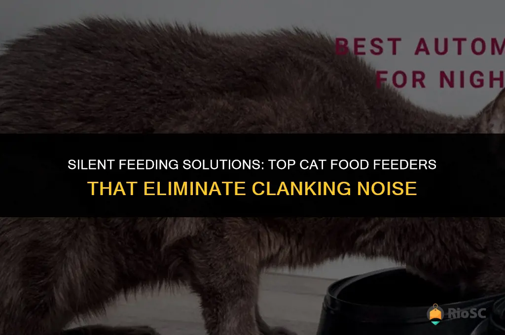 best cat food feeders that do not clank