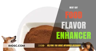 Purr-fectly Delicious: Top Cat Food Flavor Enhancers to Tempt Your Feline Friend