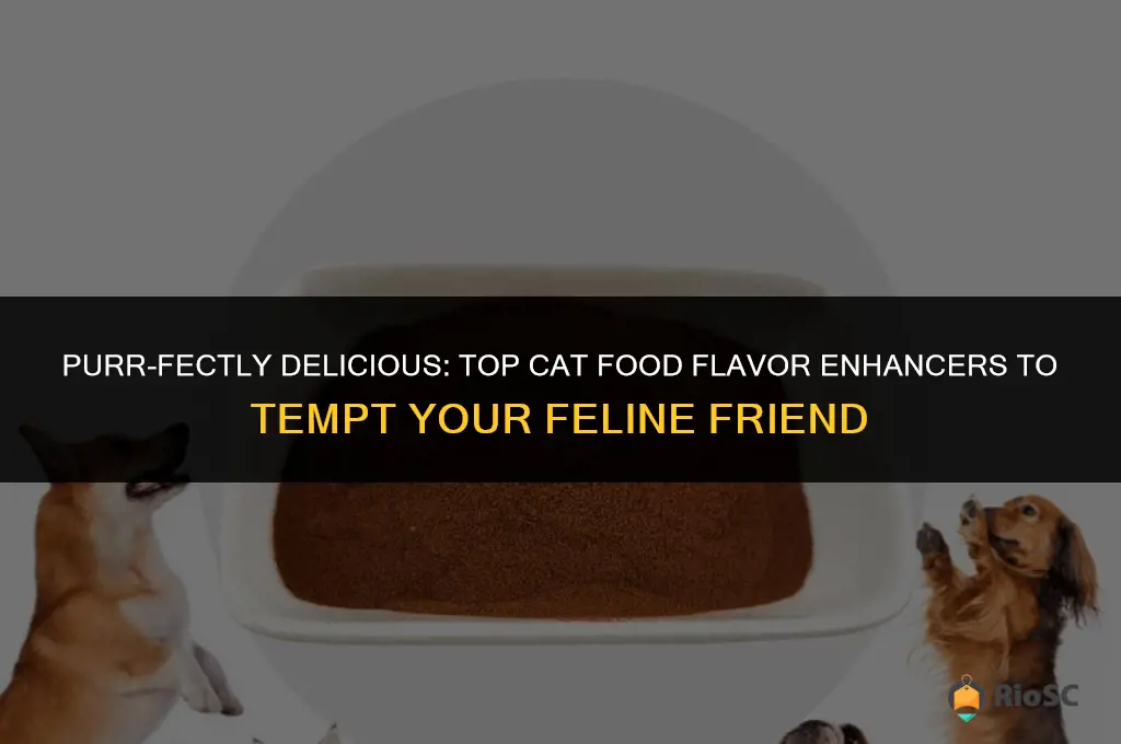 best cat food flavor enhancer